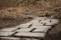 Cobblestone path way through brown golden landscape religious pilgrimage