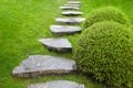 Cobblestone pathway in garden