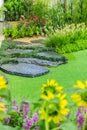 Cobblestone pathway in the garden.