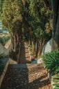 Cobblestone pathway with steps going down the hill Royalty Free Stock Photo