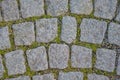 Cobblestone Pavement Texture With Grass, Moss and Stone Blocks Background Royalty Free Stock Photo