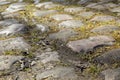 Cobblestone Road- Detail Royalty Free Stock Photo