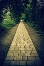 Cobblestone road in the forest Royalty Free Stock Photo