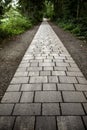 Cobblestone road in the forest Royalty Free Stock Photo