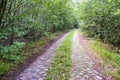 Cobblestone road outside the city, old German road in the forest Royalty Free Stock Photo