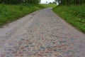 Cobblestone road outside the city, old German road in the forest Royalty Free Stock Photo