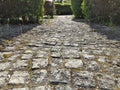 Cobblestone road in the park between clipped bushes. Bokeh effect. Old stones. Defocus on the edges of the photo. Spring or summer Royalty Free Stock Photo