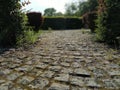 Cobblestone road in the park between clipped bushes. Bokeh effect. Old stones. Defocus on the edges of the photo. Spring or summer Royalty Free Stock Photo