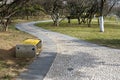 Cobblestone road park path