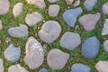 Cobblestone road surface, with growing green grass between the stones. Royalty Free Stock Photo