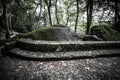 Cobblestone road to the palace foam among the rocks and trees an Royalty Free Stock Photo