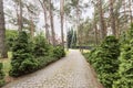 Cobbelstone road in the woods leading to an old house. Real photo Royalty Free Stock Photo