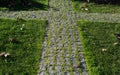 Cobblestone stone pavement background texture