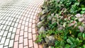 Cobblestone stone sidewalk with flower bed. Landscaping of town