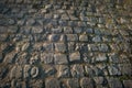 Cobblestone street detail. Young green grass in the joints between blocks