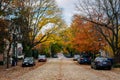 Cobblestone street and fall color in Old Town Alexandria, Virginia