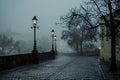 Cobblestone Street With Street Lamps and Trees