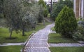 Cobblestone walk in the garden in summer.