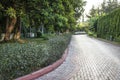 Cobblestone walk in the garden in summer.