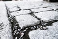 Cobblestone walk path black color