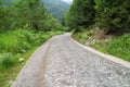 Cobblestone walk way in to the park in forest. Royalty Free Stock Photo