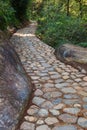 Cobblestone walking way in forest