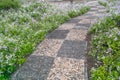 Cobblestone walkway Royalty Free Stock Photo