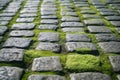Vintage Green Moss Stone Pavement Texture, generative AI