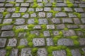 Old stone pavement texture. Cobbles closeup with green grass in the seams. Stone paved walkway in old town. Generative AI.