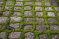 Old stone pavement texture. Cobbles closeup with green grass in the seams. Stone paved walkway in old town. Generative AI.