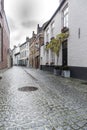 Cobblestoned street and houses Bruges