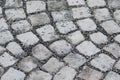 Cobblestones freshly laid with gravel, repeating pattern. Royalty Free Stock Photo