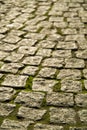 Cobblestones with moss