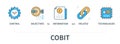 COBIT concept vector infographics