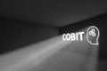COBIT rays volume light concept