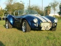 Cobra Car - Classic Royalty Free Stock Photo