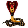 Cobra Royalty Free Stock Photo