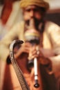Cobra charmer Royalty Free Stock Photo
