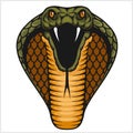 Cobra head - color illustration