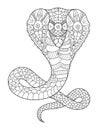 Cobra snake coloring book for adults vector