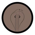 Cobra Snake Face Closeup Vector