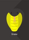 Cobra snake face flat icon design, vector illustration