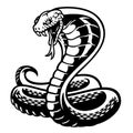 Cobra snake tattoo style in black and white