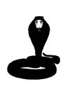 Cobra snake vector silhouette illustration isolated on white background. Attacking Cobra Hood. Black serpent tattoo. Poison snake