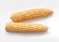 Cobs of corn  on a white background. Royalty Free Stock Photo