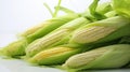cobs corn white background Royalty Free Stock Photo