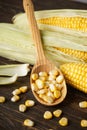 Cobs of ripe corn with grains of corn on a wooden background, close-up Royalty Free Stock Photo