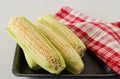 Cobs of sweet raw organic corn in plastic container Royalty Free Stock Photo
