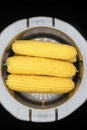 cobs of yellow corn on a white background Royalty Free Stock Photo