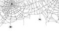 Cobweb background. Scary spider web with spooky spider, creepy arthropod halloween decor, net texture tattoo design Royalty Free Stock Photo